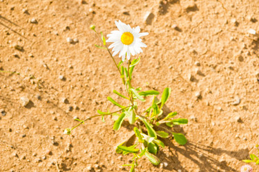 Similar image 19775919