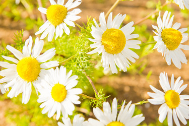 Similar image 19775922