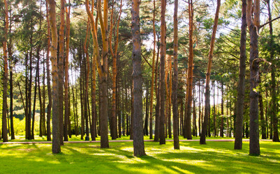 Similar image 19775937