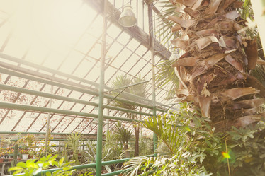 Similar image 19557236