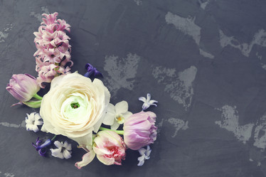 Similar image 19557264