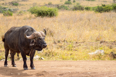 Similar image 19607535