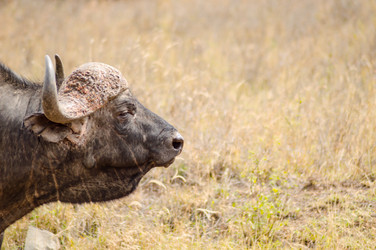 Similar image 19607544