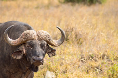 Similar image 19607552