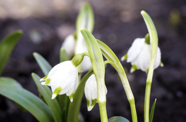 Similar image 19200487