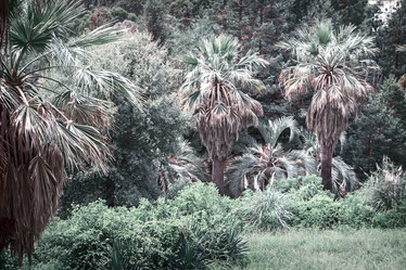 Similar image 19200488