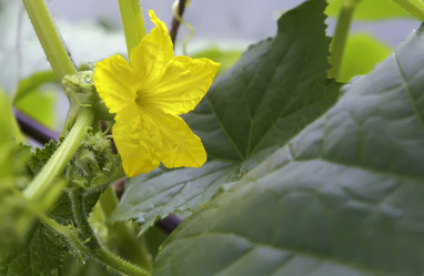 Similar image 19200505