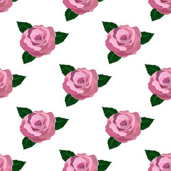 Similar image 19790600