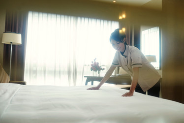 Similar image 19581747