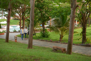 Similar image 19581771