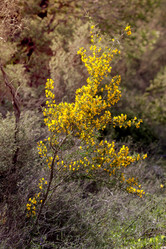 Similar image 19196306