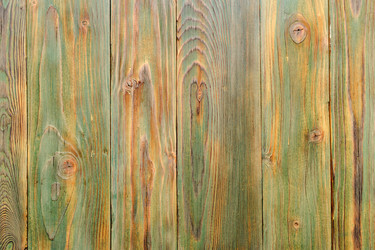 Similar image 19196310