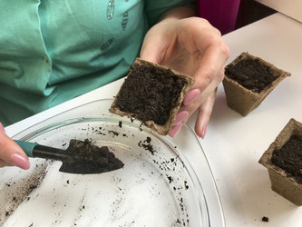 Similar image 19774456