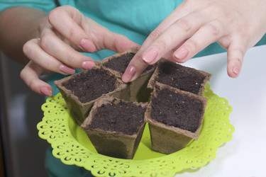 Similar image 19774475