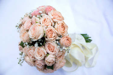 Similar image 19743271