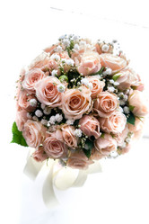 Similar image 19743273