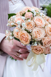 Similar image 19196138