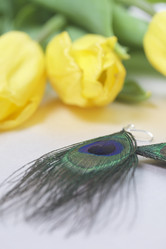 Similar image 19775068