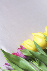 Similar image 19775035