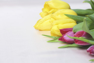 Similar image 19775041