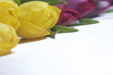 Similar image 19775042