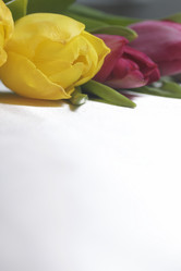 Similar image 19775043