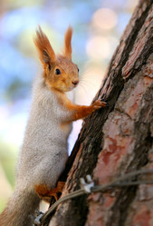 Similar image 19200930