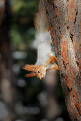 Similar image 19200934