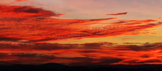 Similar image 19200920