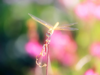 Similar image 19200926