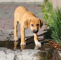 Similar image 19200958