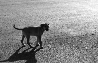 Similar image 19200965