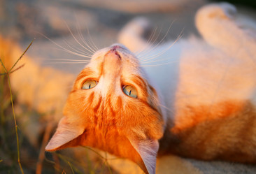 Similar image 19200951