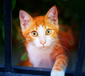 Similar image 19200952