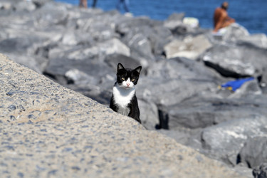 Similar image 19201003