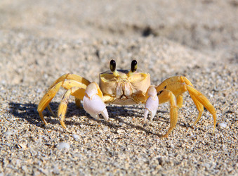 Similar image 19201009