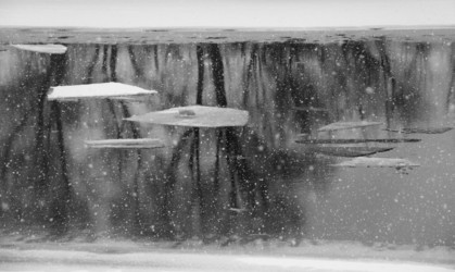 Similar image 19201024