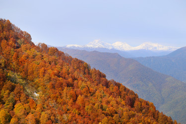 Similar image 19201025