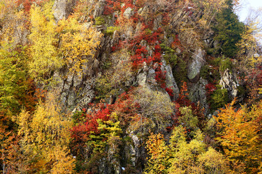 Similar image 19201044