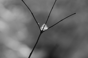 Similar image 19201046