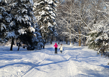 Similar image 19201047