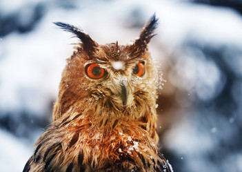 Similar image 19201052