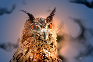 Similar image 19201063