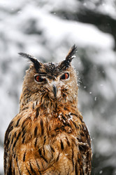 Similar image 19201064