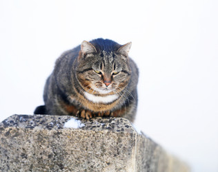 Similar image 19201082