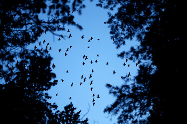 Similar image 19201092