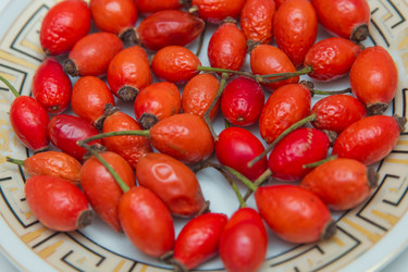 Similar image 19195659