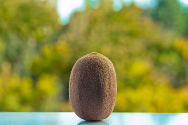 Similar image 19195647