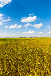 Similar image 19200110