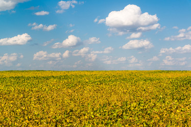 Similar image 19200111